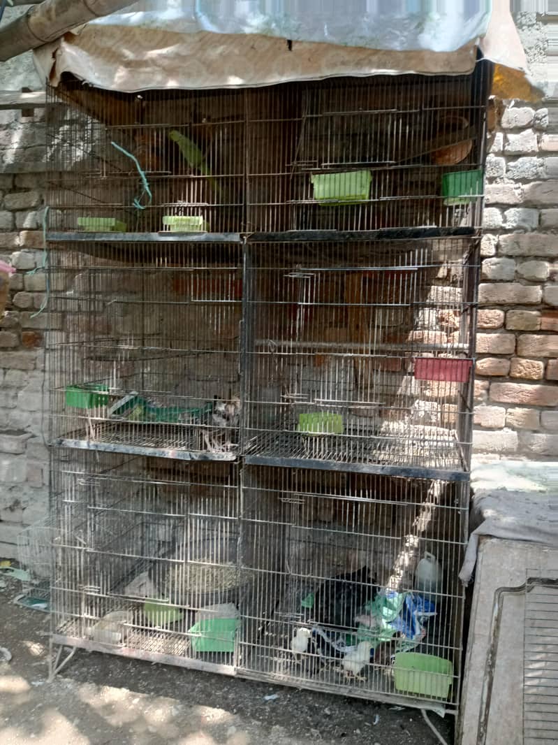 6 portion cage 1