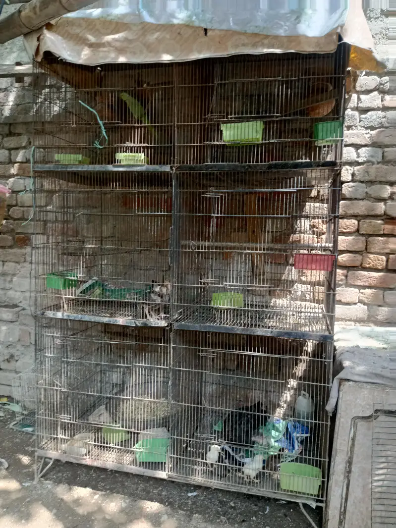 6 portion cage — photo 2