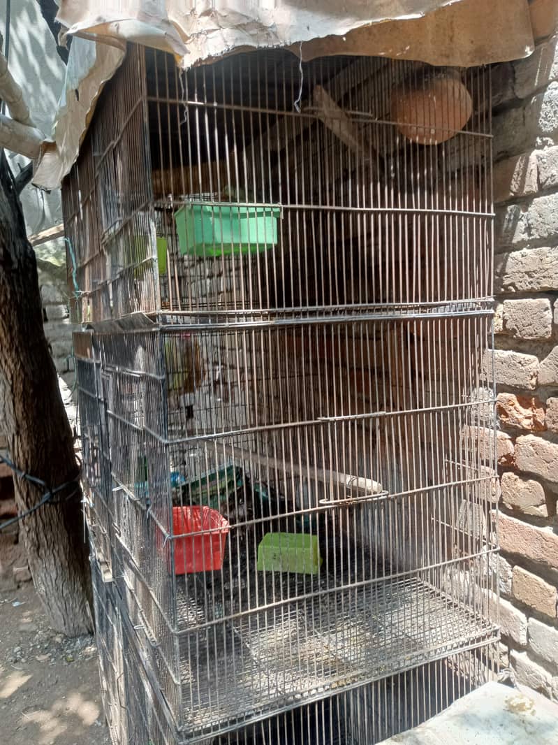 6 portion cage 2