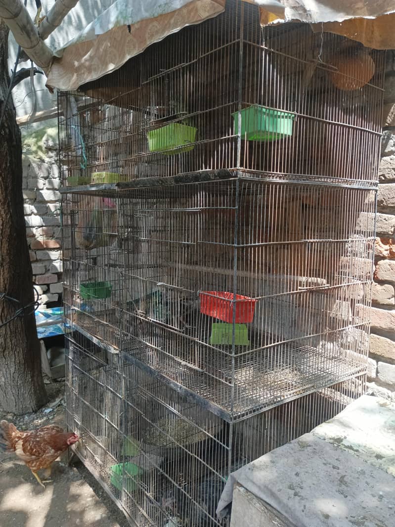 6 portion cage 3
