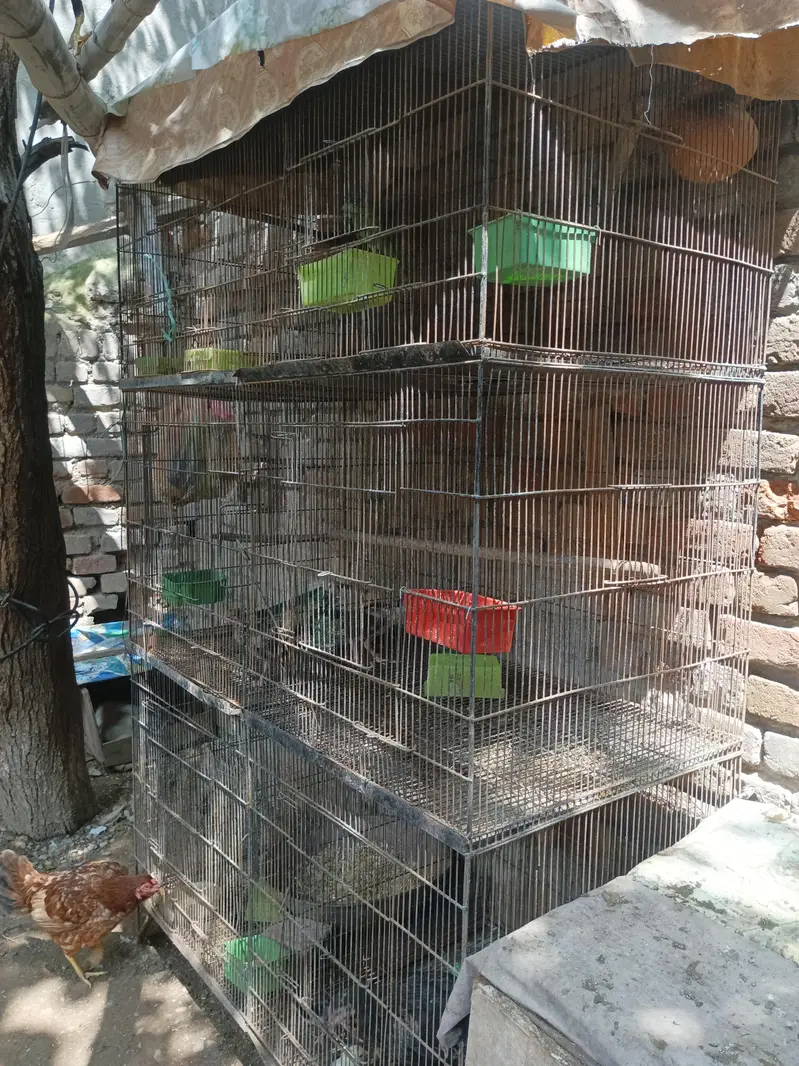 6 portion cage — photo 4