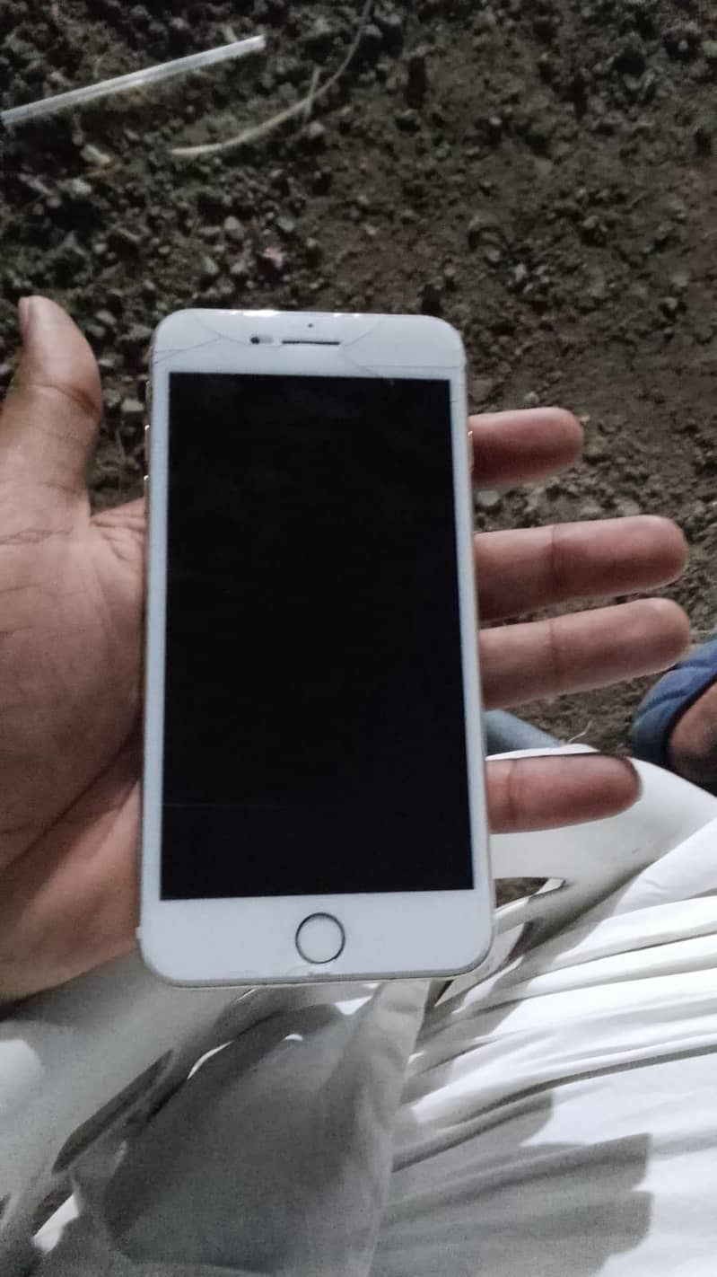 Apple iPhone 7 Plus 1