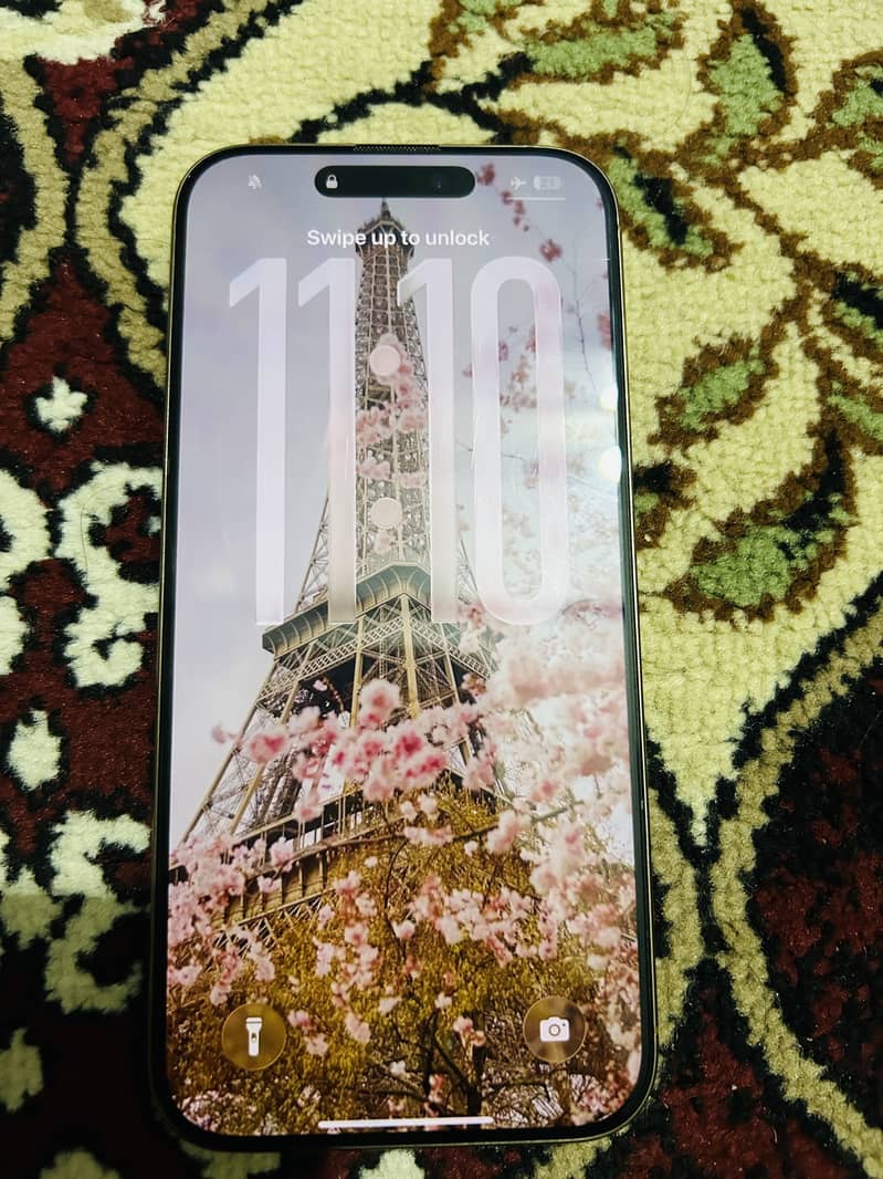 iPhone 16 Pro Max 1