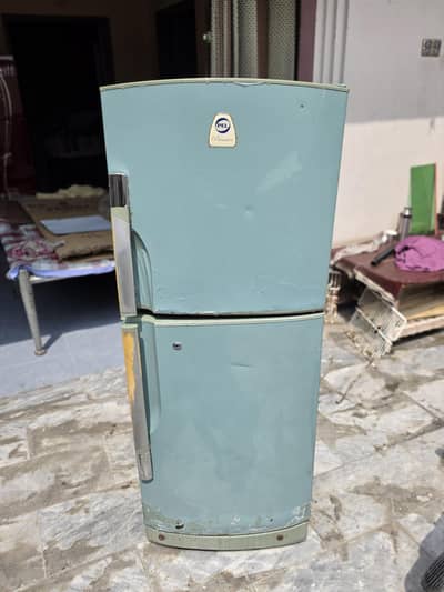 PEL Medium Size Used Fridge For Sale