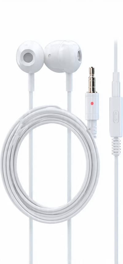 Earphones