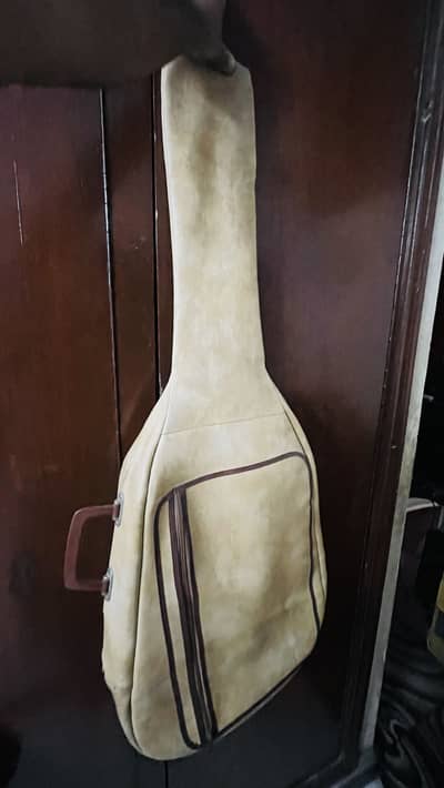 Guitar Leather Bag / Cover