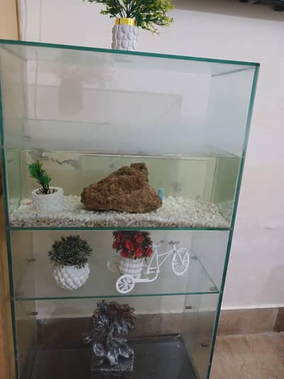 fush aquarium