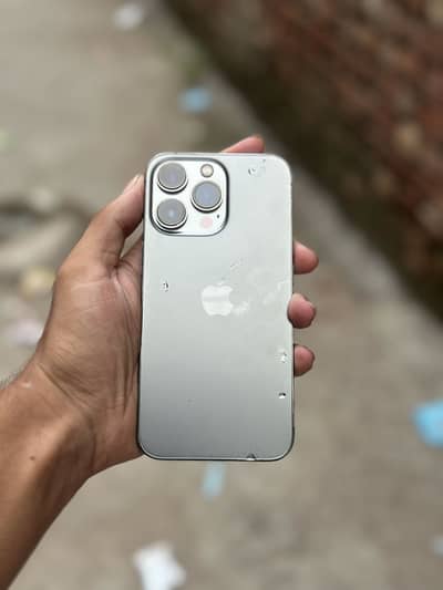 13. Pro