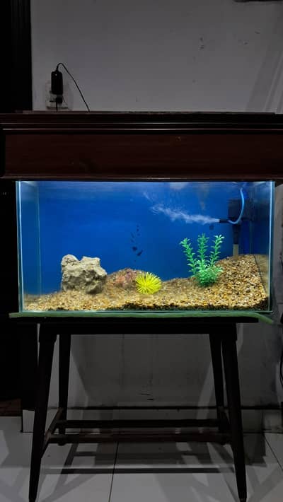 Aquarium with Sleek Stand and all Accessories - Negotiable Price