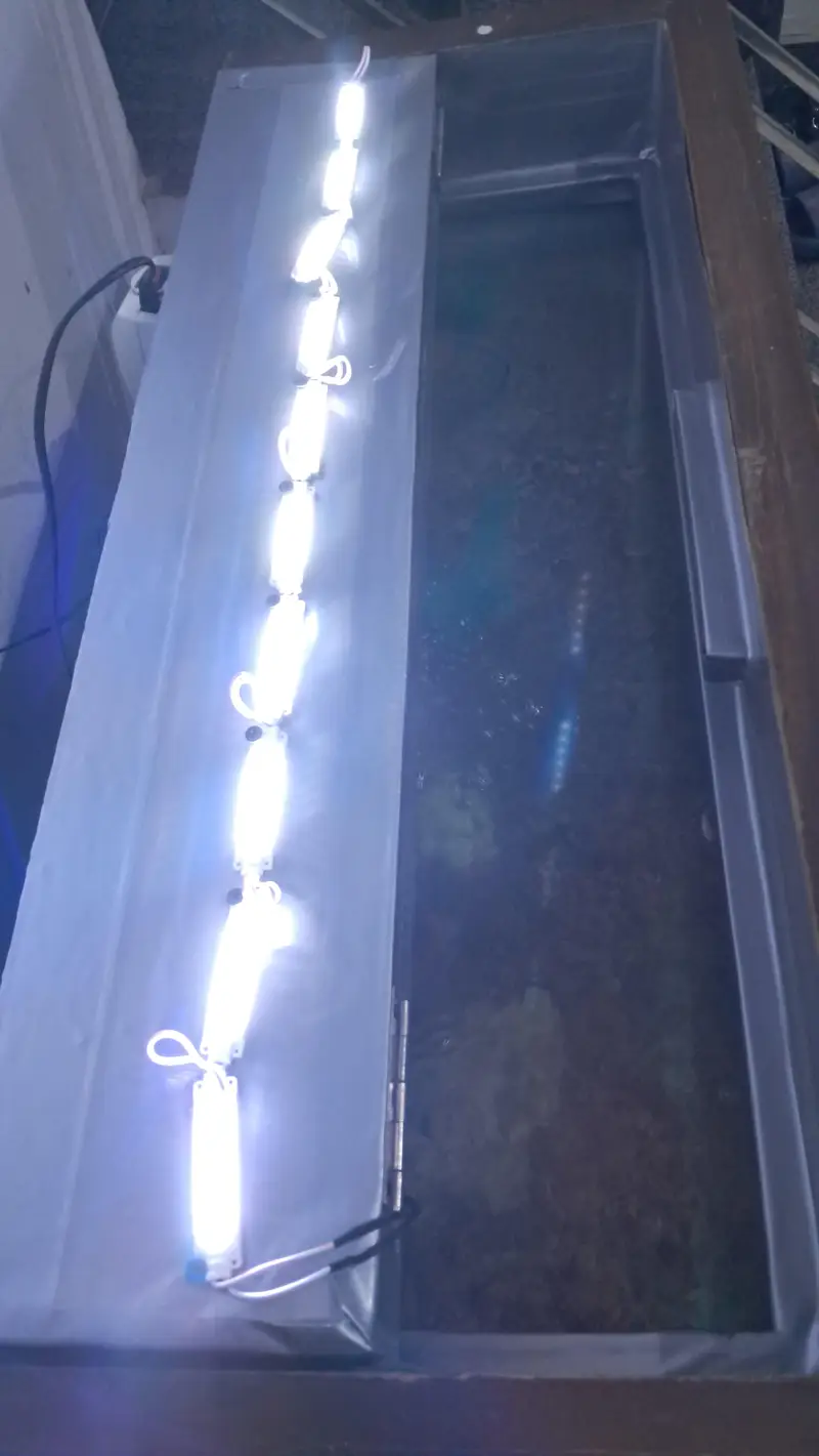 Aquarium with Sleek Stand and all Accessories - Negotiable Price — photo 3