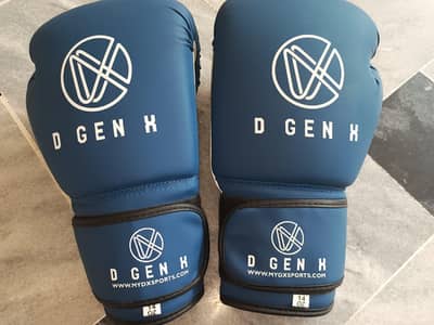 `D GEN X 14oz Boxing Gloves - Urgent Sale Rs 2200