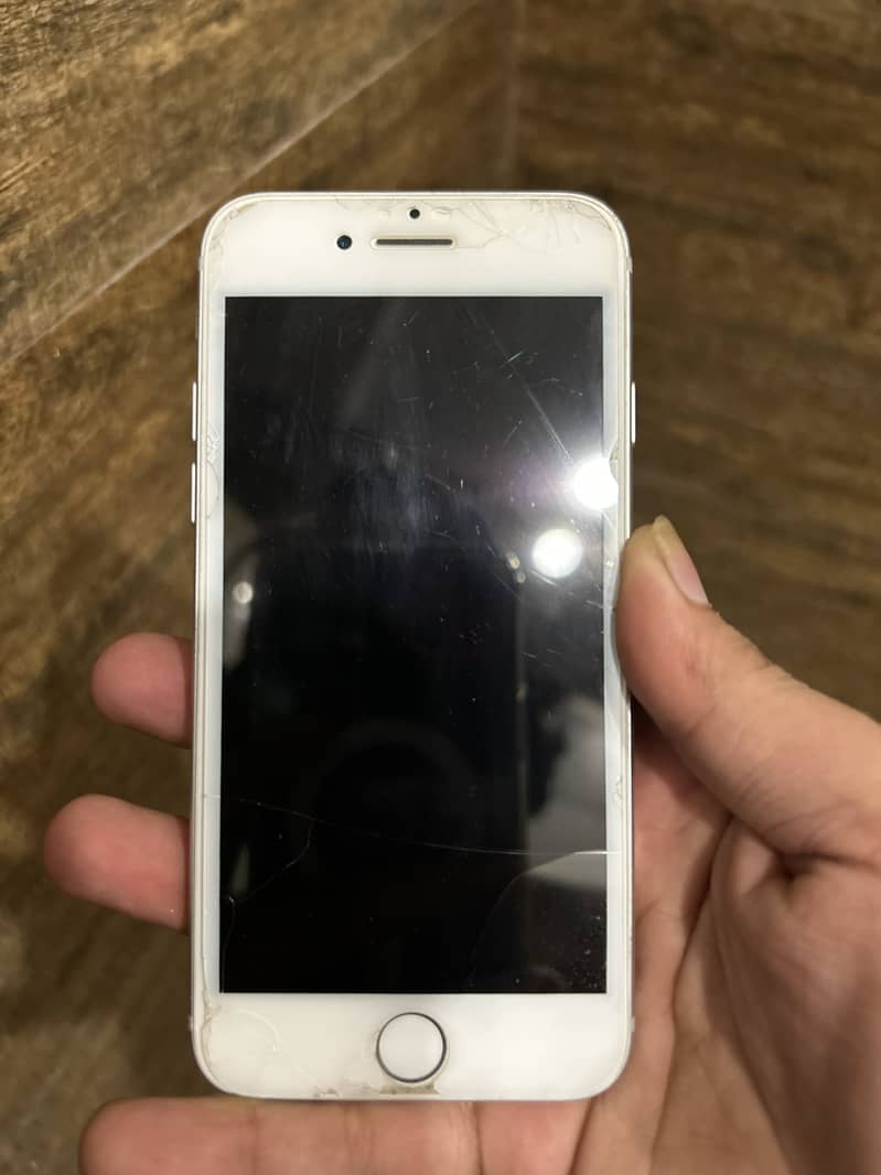 Apple iPhone 7 1