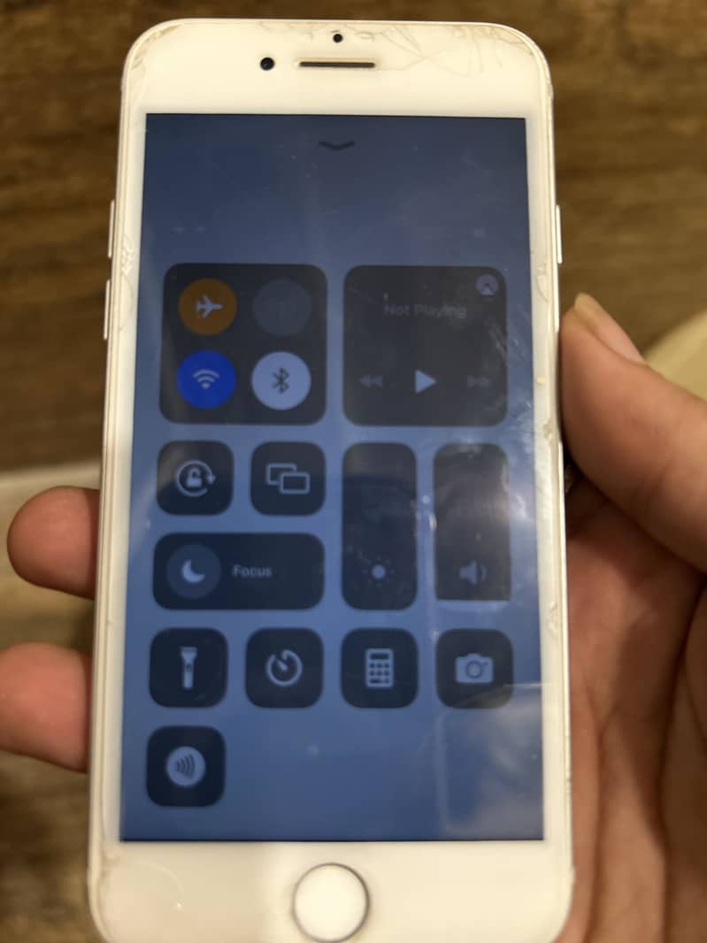 Apple iPhone 7 13