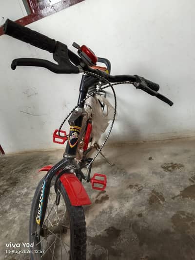 PHOENIX Cycle