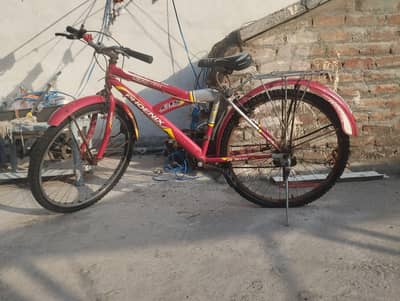 Phoenix Cycle For Sale