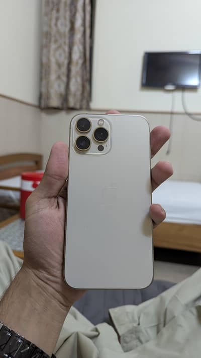 Apple iPhone 13 Pro Max