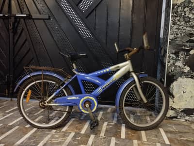 For Sale: Classic "Oscar Vario 01" Boys' Bike – A Fun, Solid Ride