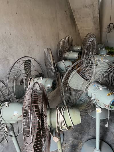 Pedestal Fan (AL sheikh)
