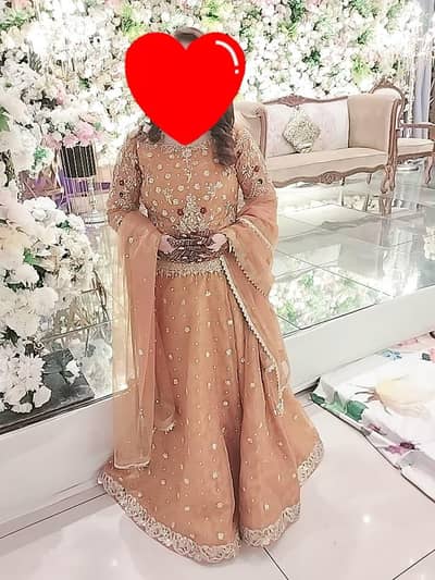 Choli lehnga with net dupata