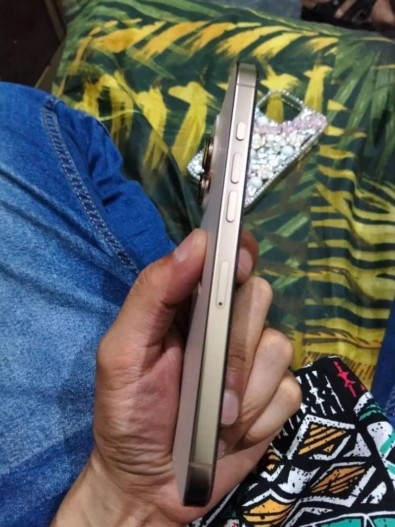 Apple iPhone 16 Pro Max 1