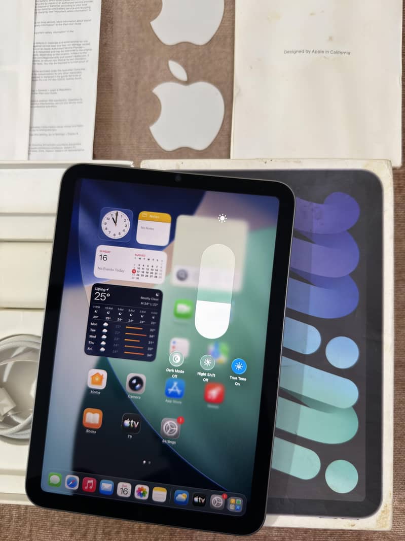 iPad Mini 6 9