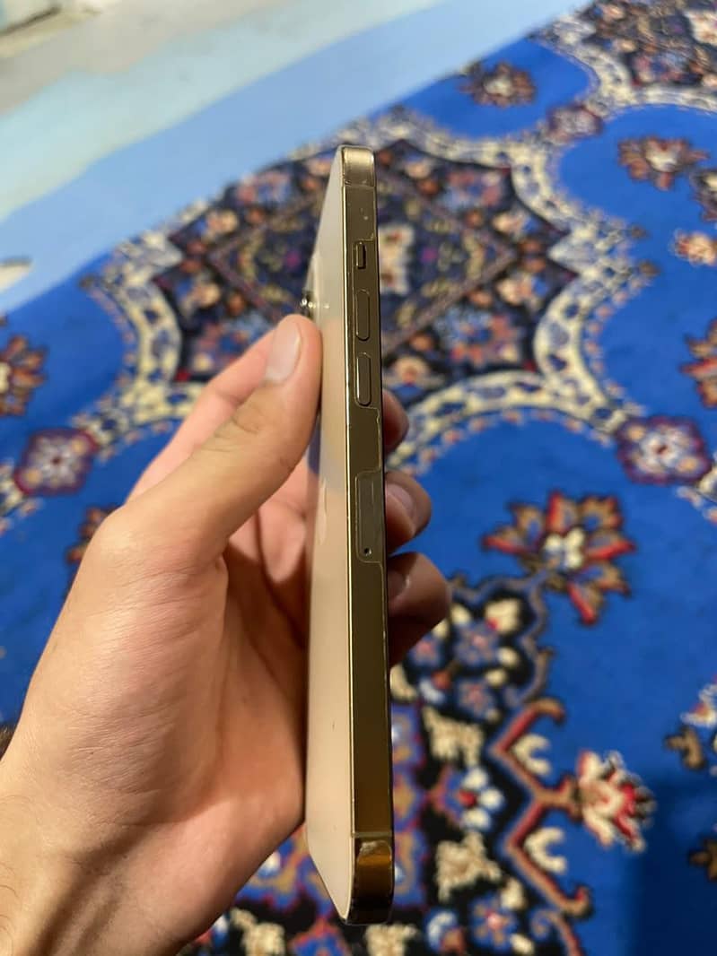 Apple iPhone 12 Pro Max 1