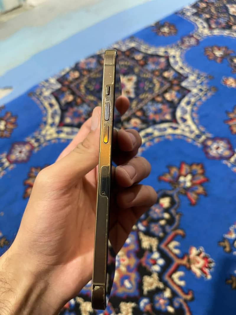 Apple iPhone 12 Pro Max 2
