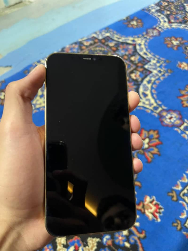 Apple iPhone 12 Pro Max 3