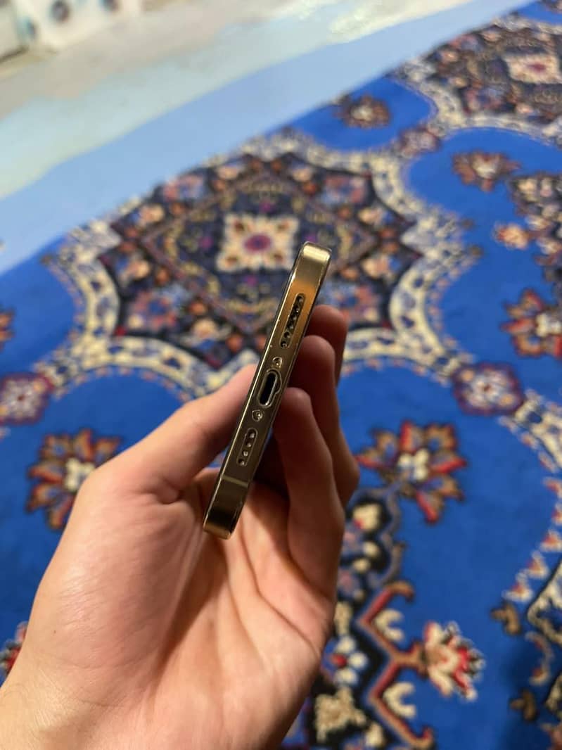 Apple iPhone 12 Pro Max 6