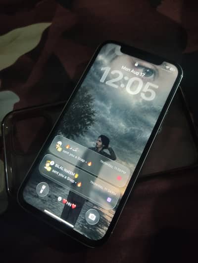 Apple iPhone 12 Pro