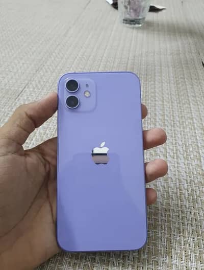 Apple iPhone 12 bypass