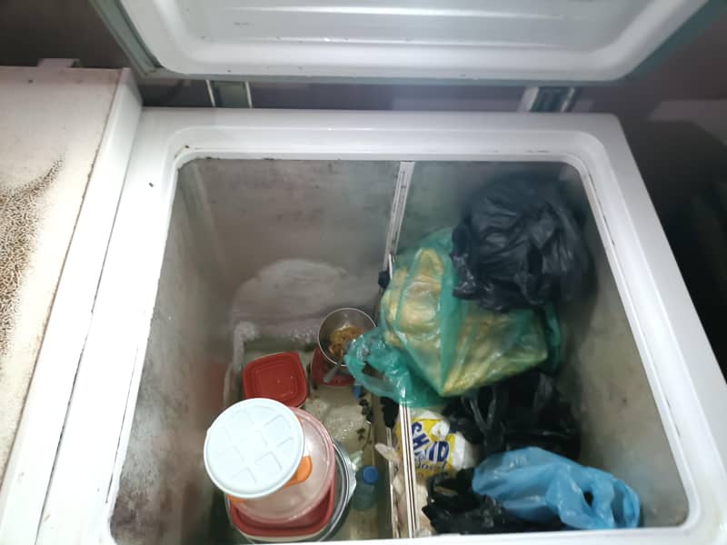 deepfreezer 1