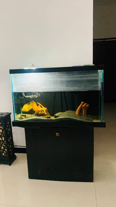 Fish Aquarium, Wooden Stand with 3 Fish