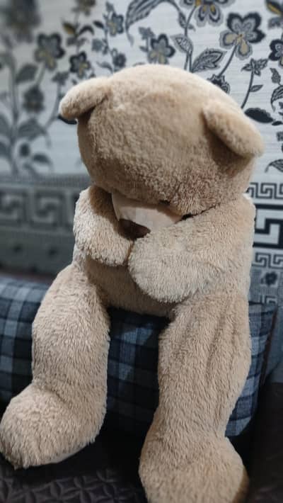 imported teddy bear