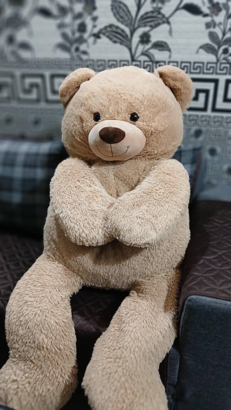 imported teddy bear 1