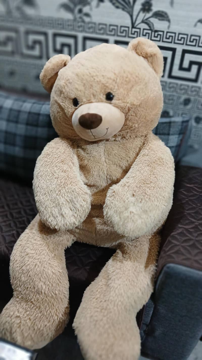 imported teddy bear 2