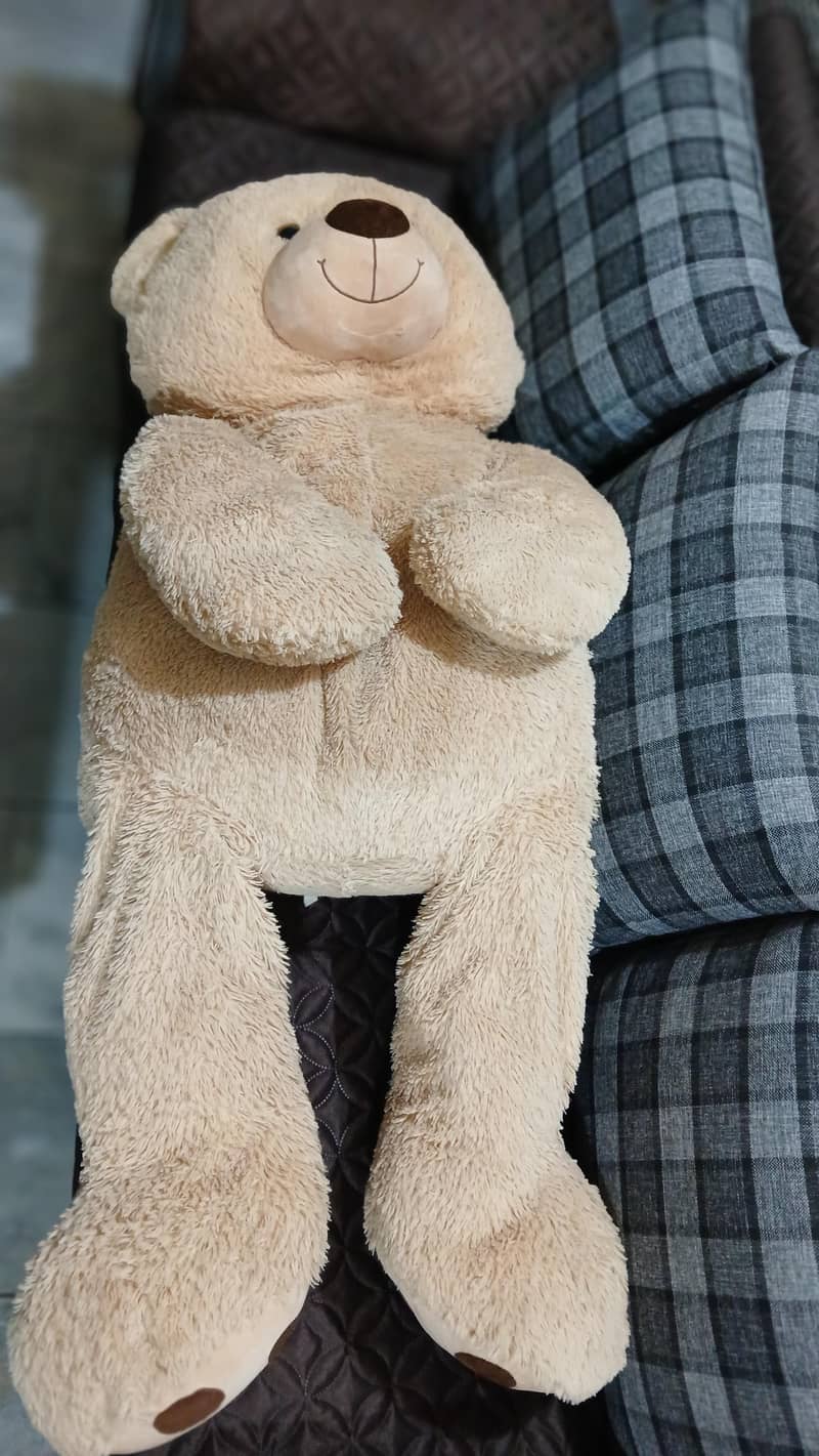 imported teddy bear 3