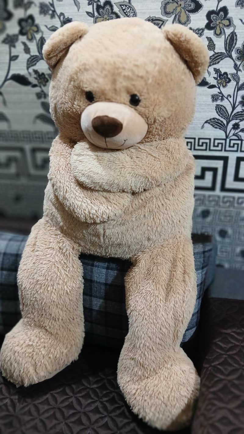 imported teddy bear 4