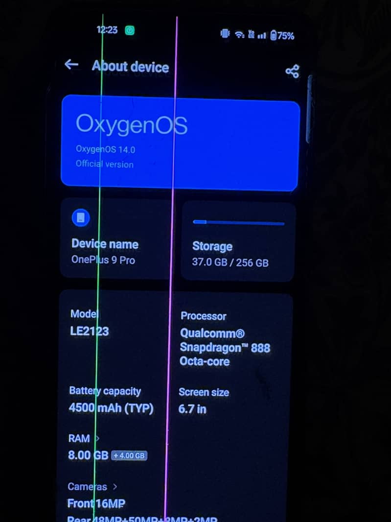 One Plus 9 Pro / 256GB 4