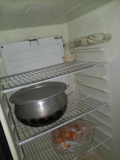 geniun freezer