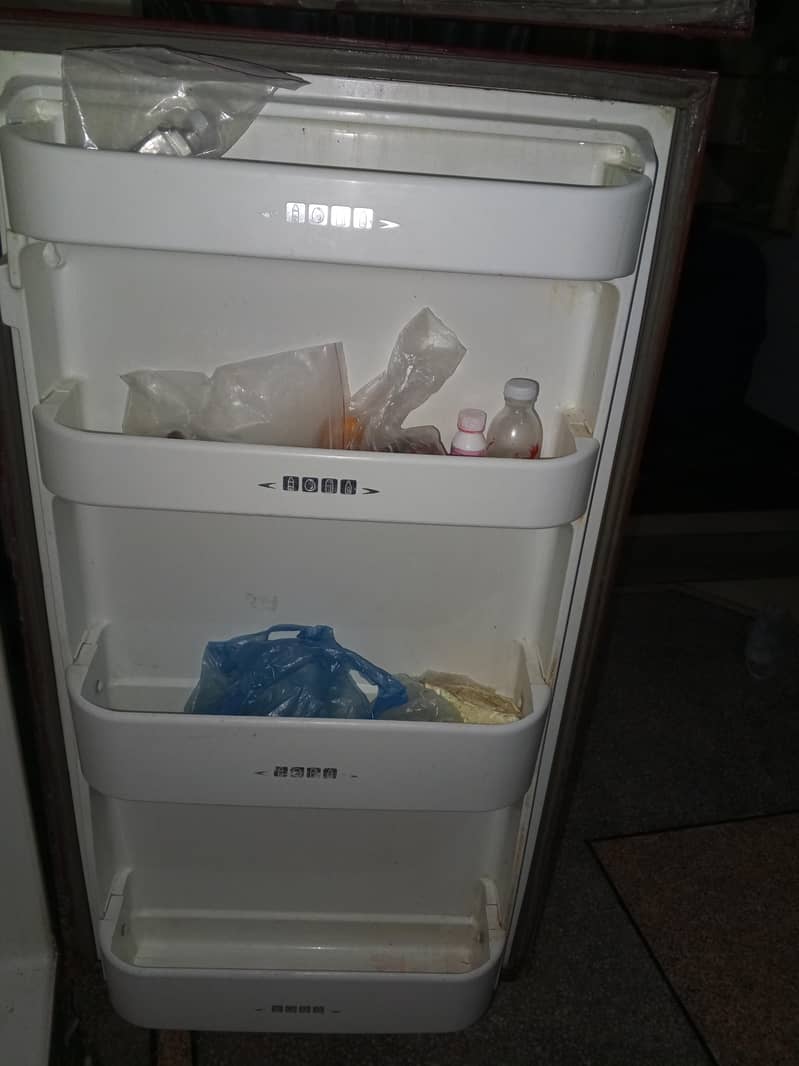 geniun freezer 1