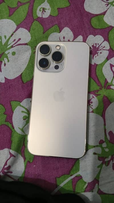 Apple iPhone 13 Pro