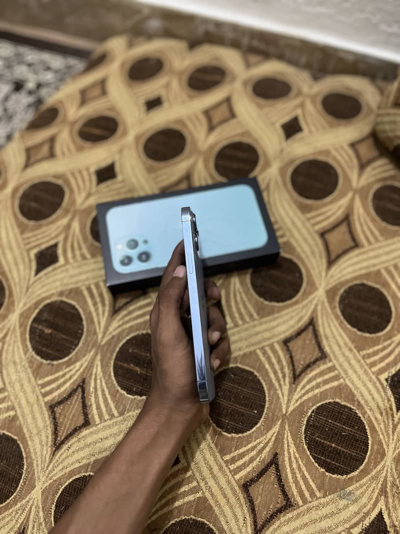 Apple iPhone 13 Pro Max 1