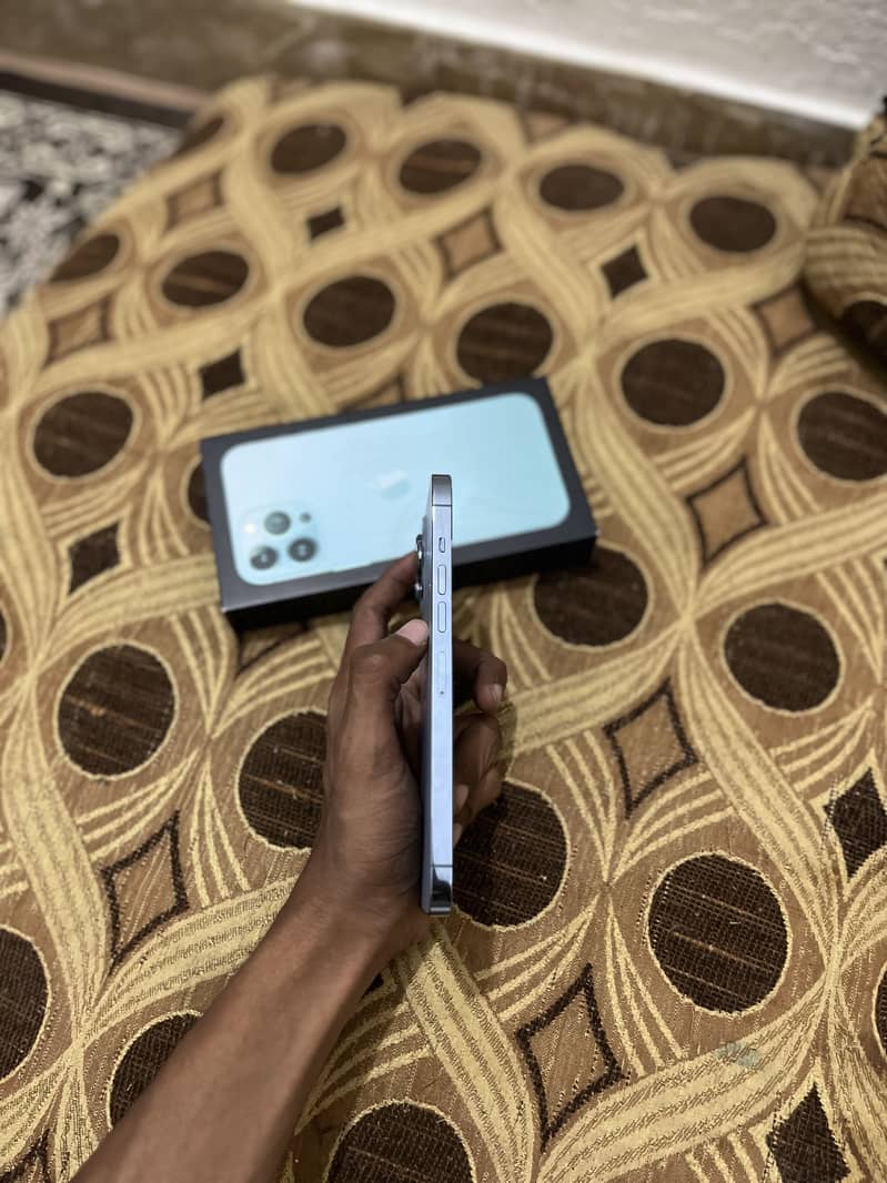 Apple iPhone 13 Pro Max 2