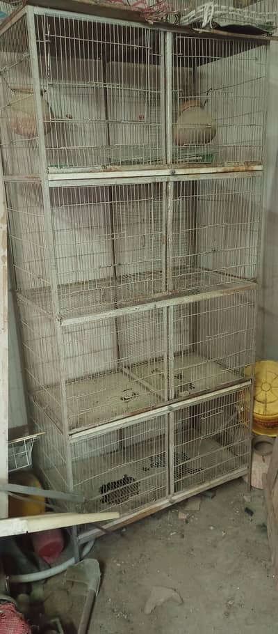 8 partition mazbood cage