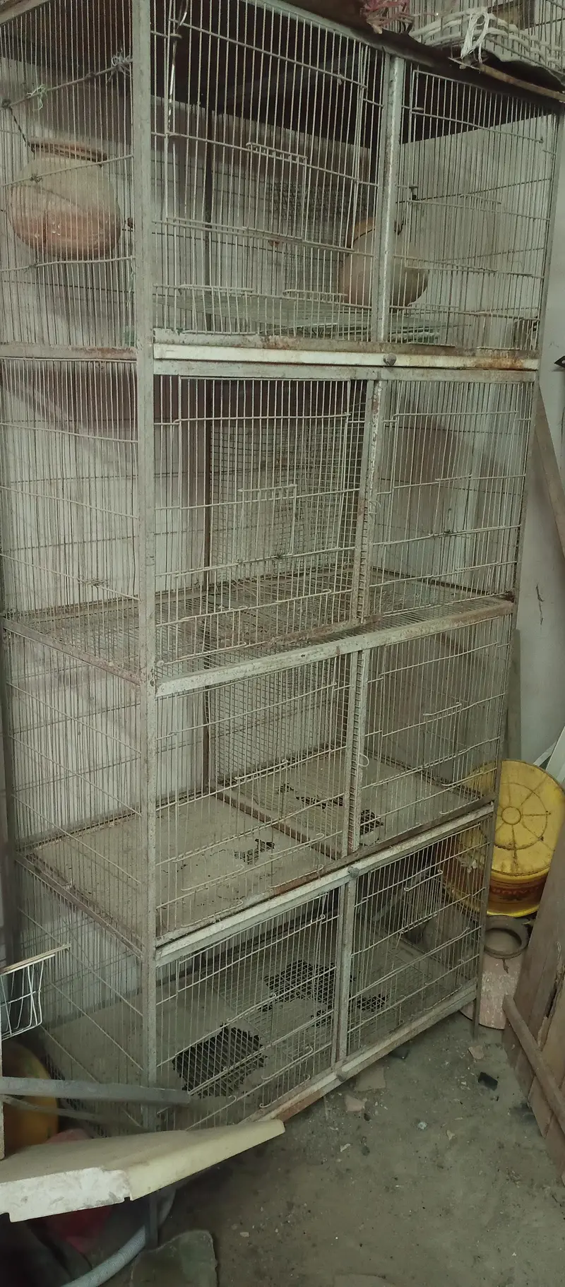 8 partition mazbood cage — photo 2