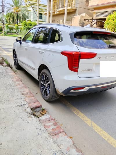 haval julion