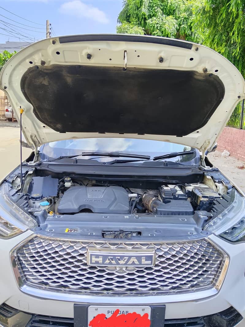 haval julion 11
