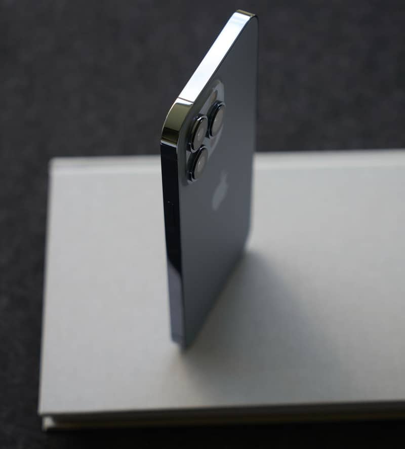 Apple iPhone 13 Pro Max 1