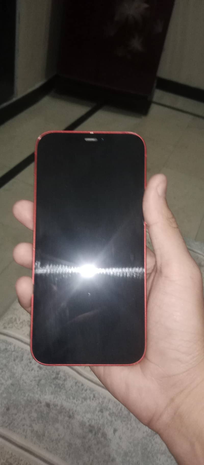 Apple iPhone 12 1